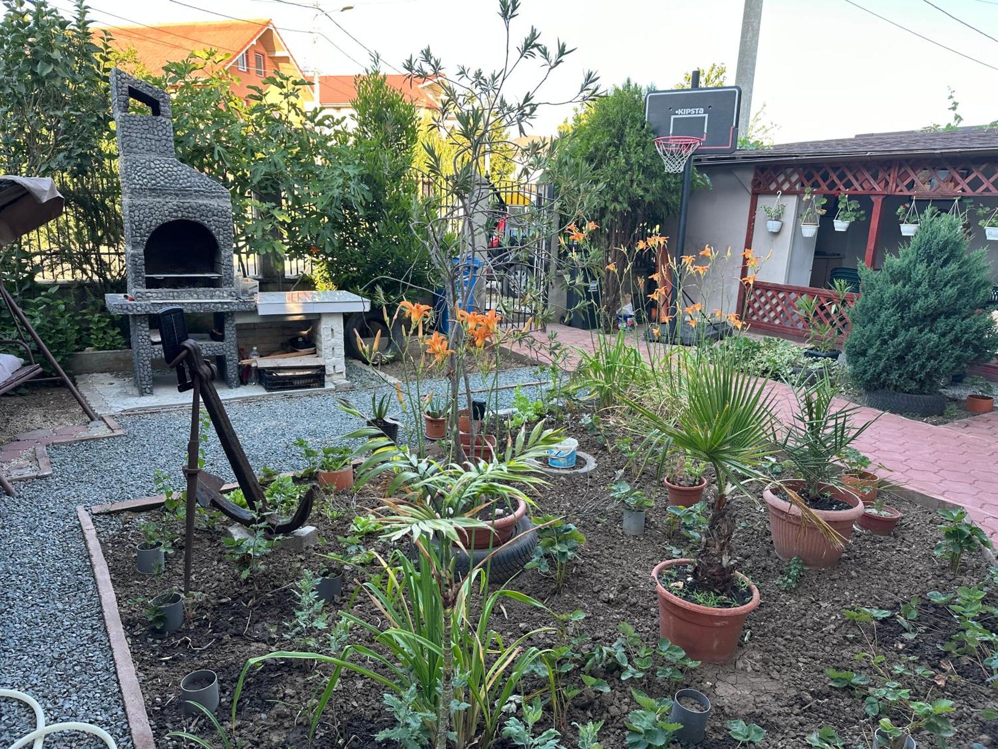 Casa Vio Parter Lägenhet Eforie Nord Exteriör bild
